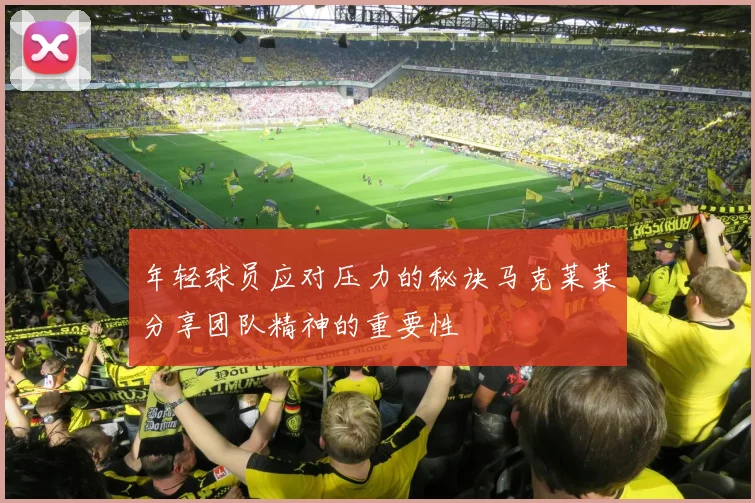 年轻球员应对压力的秘诀马克莱莱分享团队精神的重要性