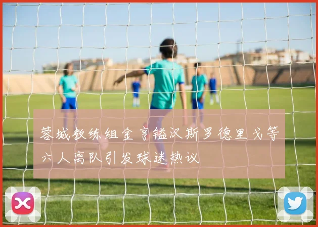 蓉城教练组金亨镒汉斯罗德里戈等六人离队引发球迷热议