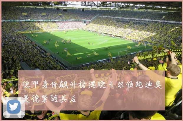德甲身价飙升榜揭晓卡尔领跑迪奥曼德紧随其后